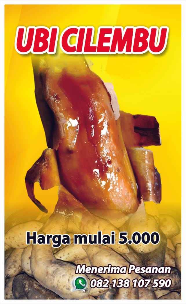 Ubi cilembu adalah ubi jalar ras lokal yang merupakan kekayaan alam Indonesia